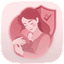 VeriMom