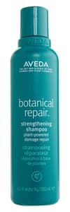Aveda Botanical Repair Shampoo