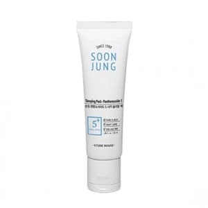 Etude House Soonjung 5-Panthensoside Cica Sleeping Pack
