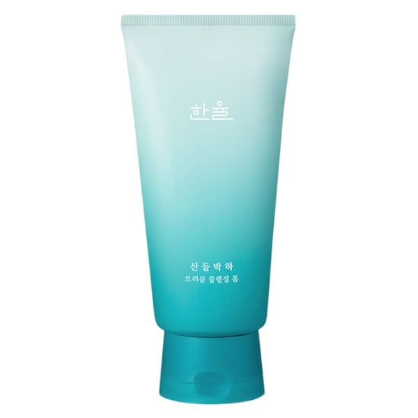 HANYUL Mentha Trouble Foam - 120g