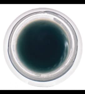 living libations Bedew Dab Ozonated Beauty Balm