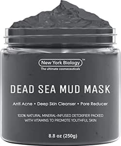 New York Biology Dead Sea Mud Mask (Discontinued)