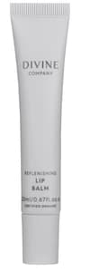 The Divine Company Replenishing Lip Balm