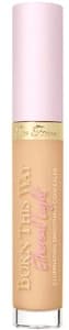 Too Faced Born This Way Ethereal Light Smoothing Concealer